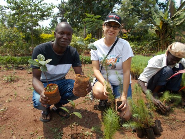 buying trees and planting them