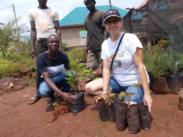 buying trees and planting them