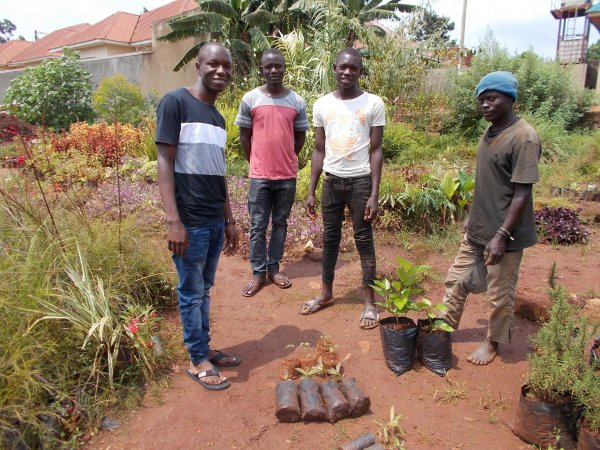 buying trees and planting them