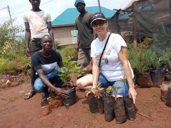 buying trees and planting them