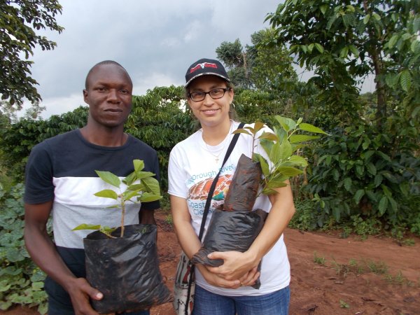 buying trees and planting them