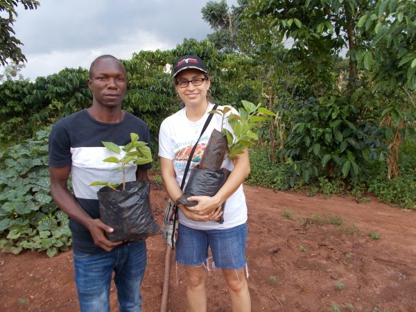 buying trees and planting them