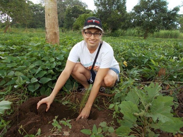 buying trees and planting them