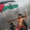 Gaza Fights for Freedom