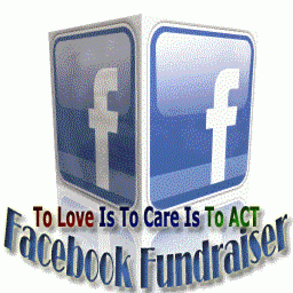 Facebook Fundraiser 256