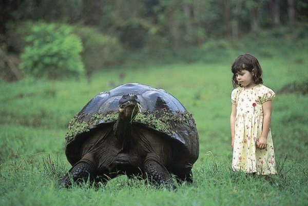 Creatures We Share Life With