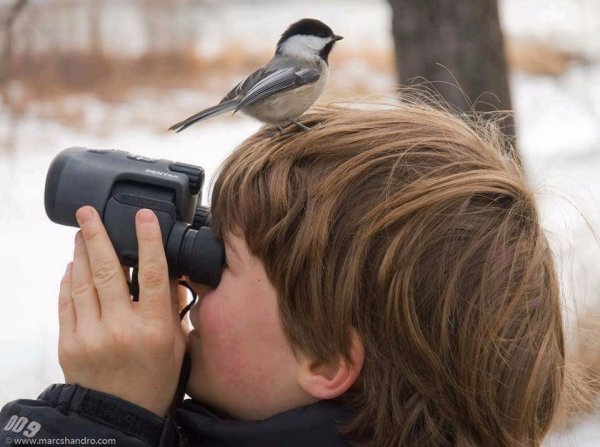 Creatures We Share Life With