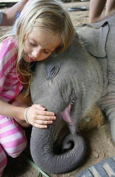 Creatures We Share Life With