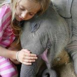 Creatures We Share Life With