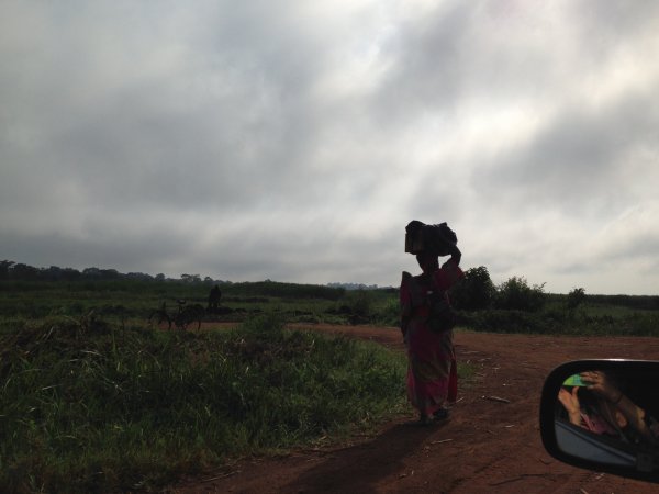 driving through the country