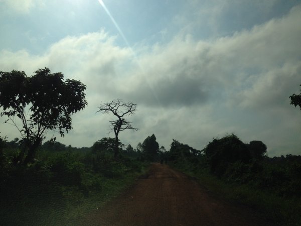 driving through the country