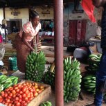 in the market