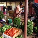 in the market