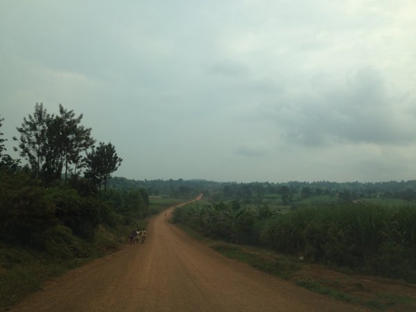 driving through the country