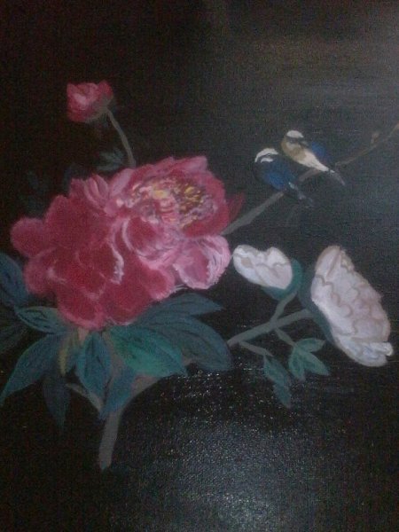 White Breasted Laughing Thrush on Peony Bush