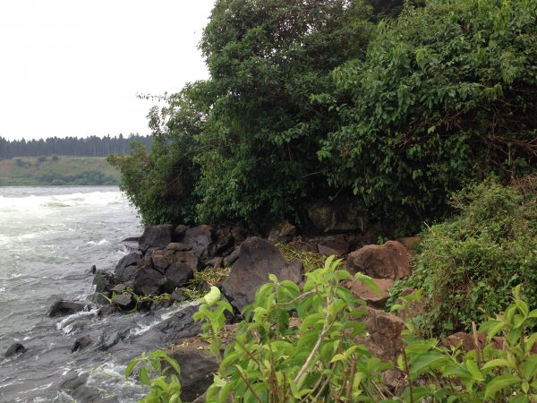 Nile River rapids Jinja