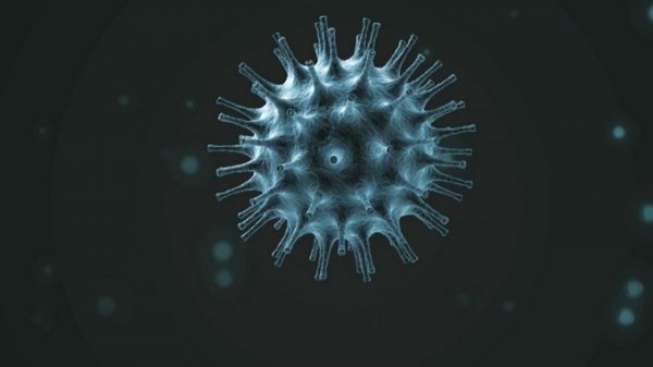 Coronavirus1