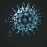 Coronavirus1