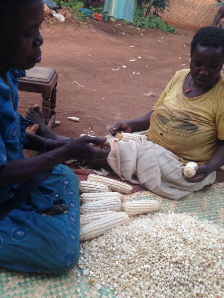 Grandma & Aunt shucking corn