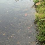 Source of the Nile River