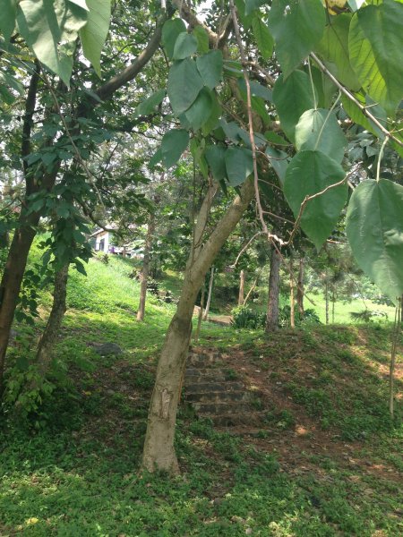 Source of the Nile River