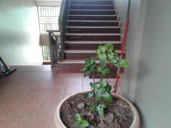 Jinja City Hotel Hallways