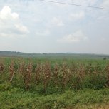 driving through the country