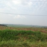 driving through the country