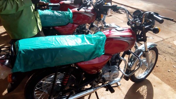 boda bodas