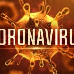 Coronavirus5768x431