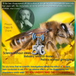 Albert Einstein warning on Bees
