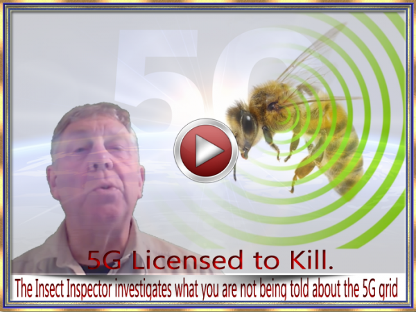 5G Bees