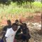 Samaritan foundation orphanage