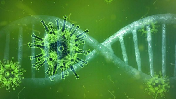 coronavirus