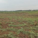 Tilling the Soil | Agriculture