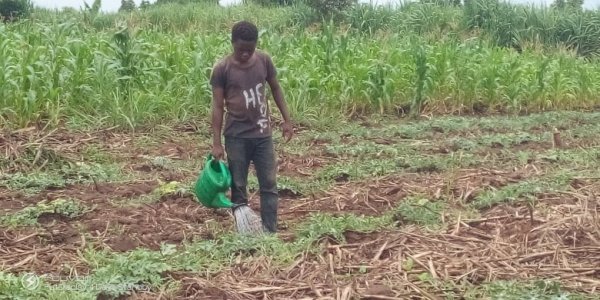 Emmanuel my son watering