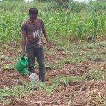 Emmanuel my son watering