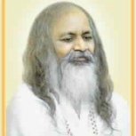 tmyogi