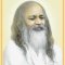 tmyogi