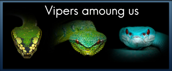 Vipers Among Us