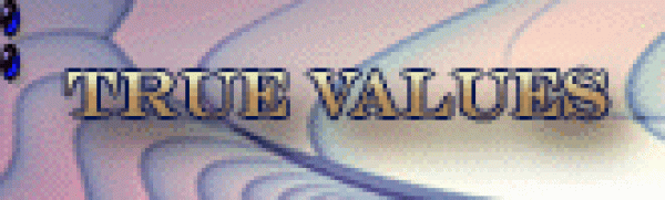 NavAniFracbline165x50TrueValuesWordsOfChrist