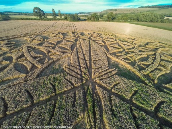 UK Crop Circle 2016