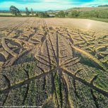 UK Crop Circle 2016
