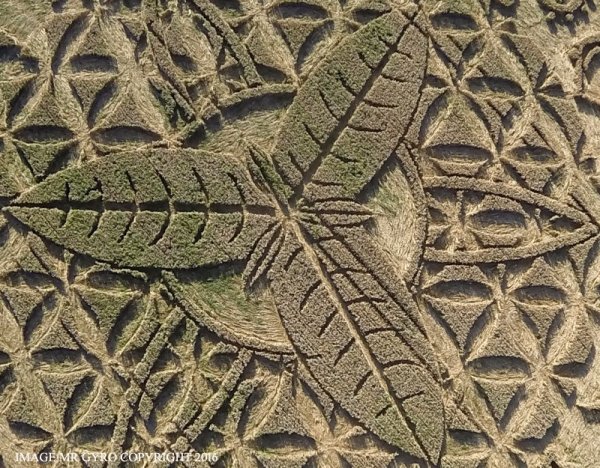 UK Crop Circle 2016