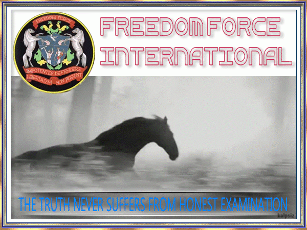 Freedom Force International 