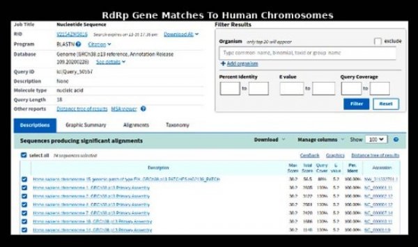 Covid-19 Fraud 2