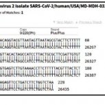 Covid-19 Fraud 5
