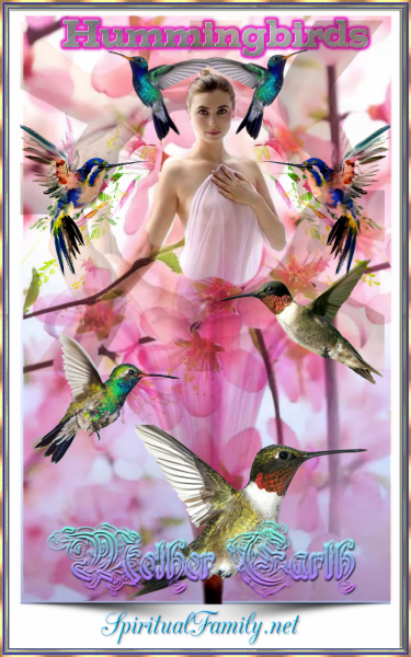 Mother Earth ● Hummingbirds 