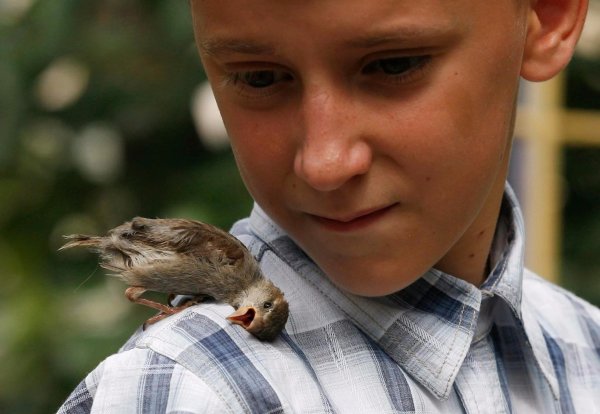 Creatures we Share Life With 