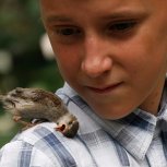 Creatures we Share Life With 